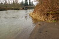 River Shoreline at McKenna Park