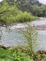 Bridge Rapid Left Chute