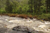 Killer Bridge Rapid