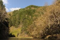 View of the Chehalis