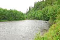 Riverview at Ohop