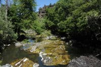 River Channel Below Copco Dam