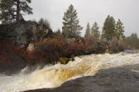 Dillon Falls