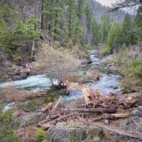 Log Jam