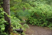 Horseshoe Bend Access Point