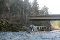 Fish Trap