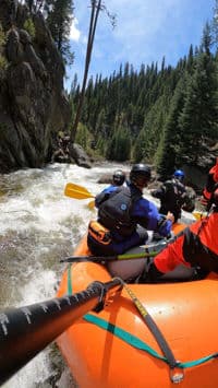 Hawking
