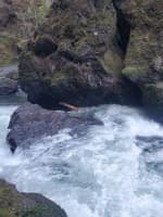 Boulder Rapid left line change