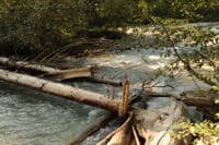 South Fork Cascade River