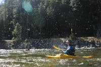 A Snowstorm of Mayflies