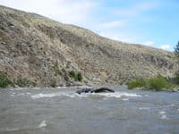 Looking Downstream at Meteorite