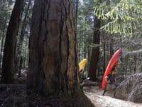 Hiking in on North Fork Trail