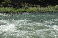 Swimming Wapshilla Rapid