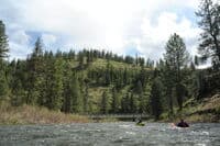 Bridge Below Potamus Creek