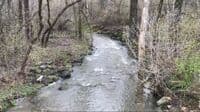 Whitnall Park Triangle