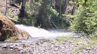 Salmon Creek Falls 