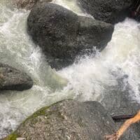 Pin rocks