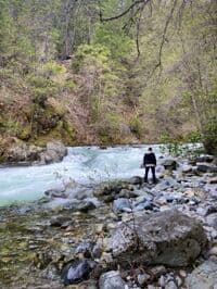 Rapid near start