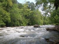 Laurel  Creek