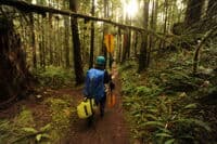 Hiking in on the Trail