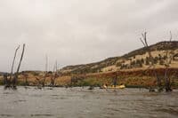 Raft Through the Ghost Forest