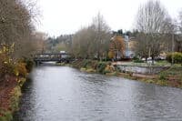 Jones Park With Renton Library
