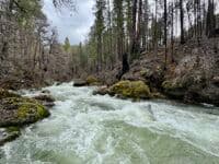 EF SF Salmon River
