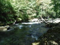 Chainsaw (from top) -- Gunpowder Gorge