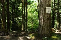 Access Along Highway 101