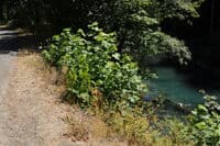 Steep Alternate Access to the River