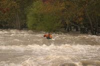Third Rapid