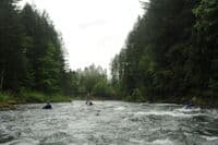 Heading down the Cispus