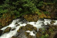 North Fork Umpqua Above Toketee
