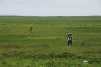 Hiking Across the Tundra