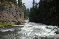 Benham Falls Looking Downstream