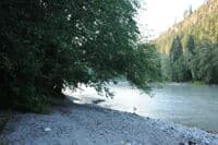 Shoreline at Sauk Campground