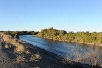 View of Feather River from East Gridley Road