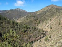 Shasta River