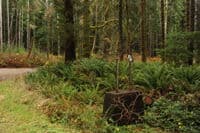 Klahanie Campground Entrance Sign