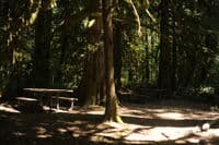 Tables at Outfitter Picnic Site