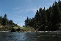 Desolation Creek Confluence
