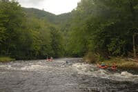 Island Rapid