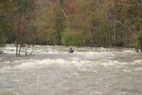 Third Rapid