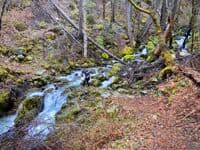 Creek Crossing