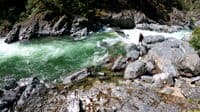 Big Rapid #1