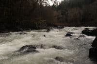 Wiley Creek Rapid - Beth