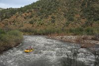 Three Way Rapid