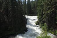 Benham Falls Looking Upstream