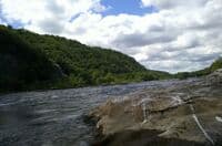 Potomac Needles Mad Dog Rapid