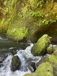 Sneak route far river left, between boulder and wall